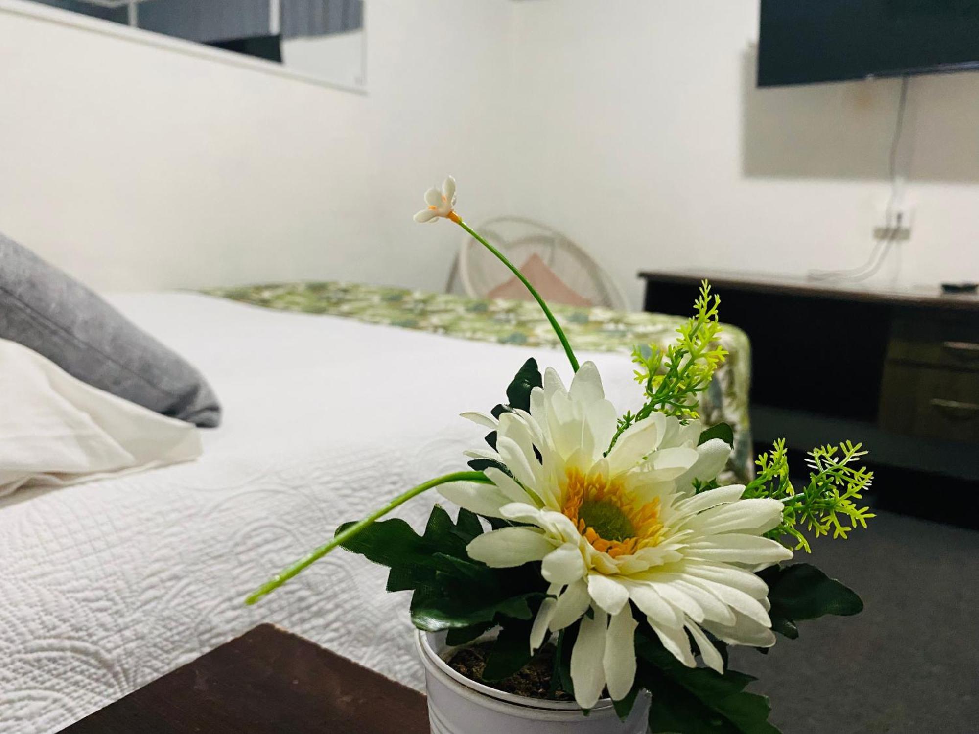 Hostal 3 Norte Сан-Антонио Экстерьер фото